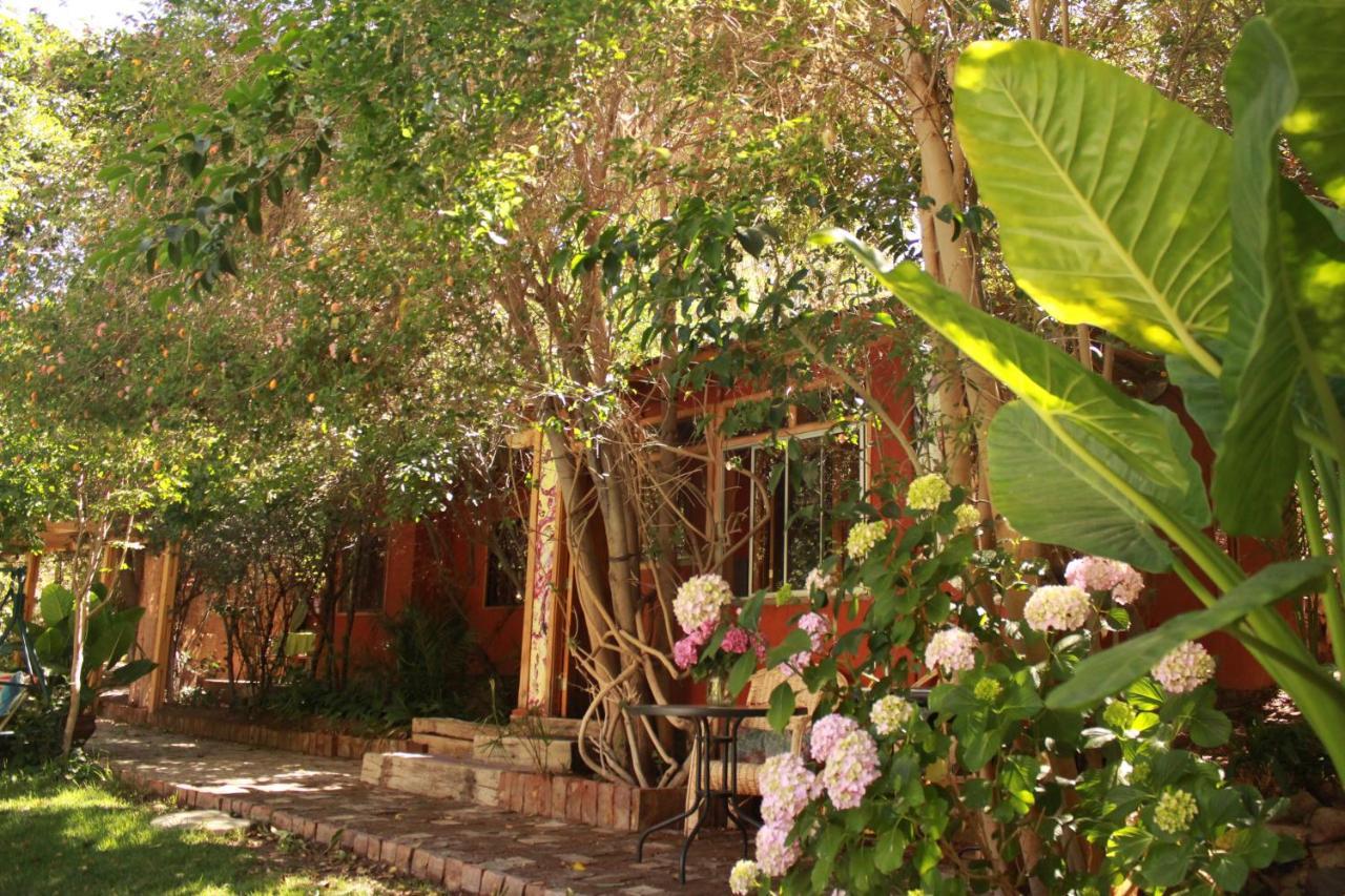 El Jardin Secreto-Pisco Elqui Aparthotel Екстериор снимка