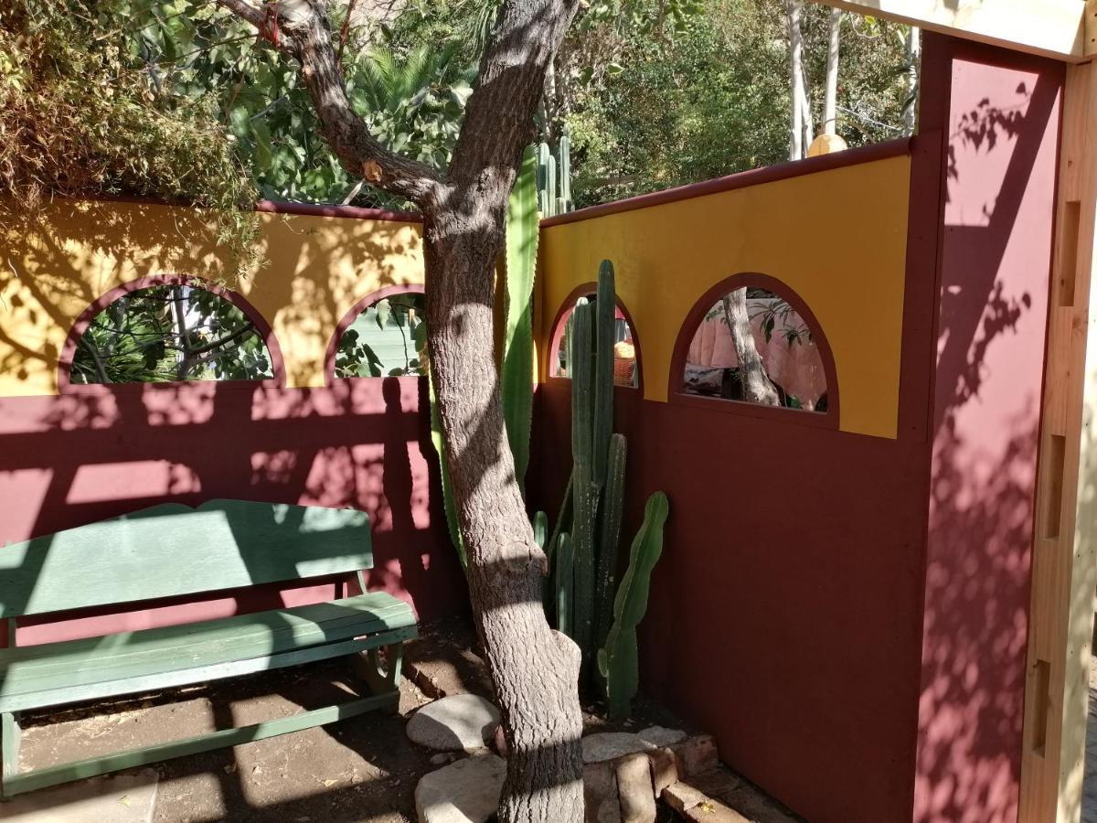 El Jardin Secreto-Pisco Elqui Aparthotel Екстериор снимка