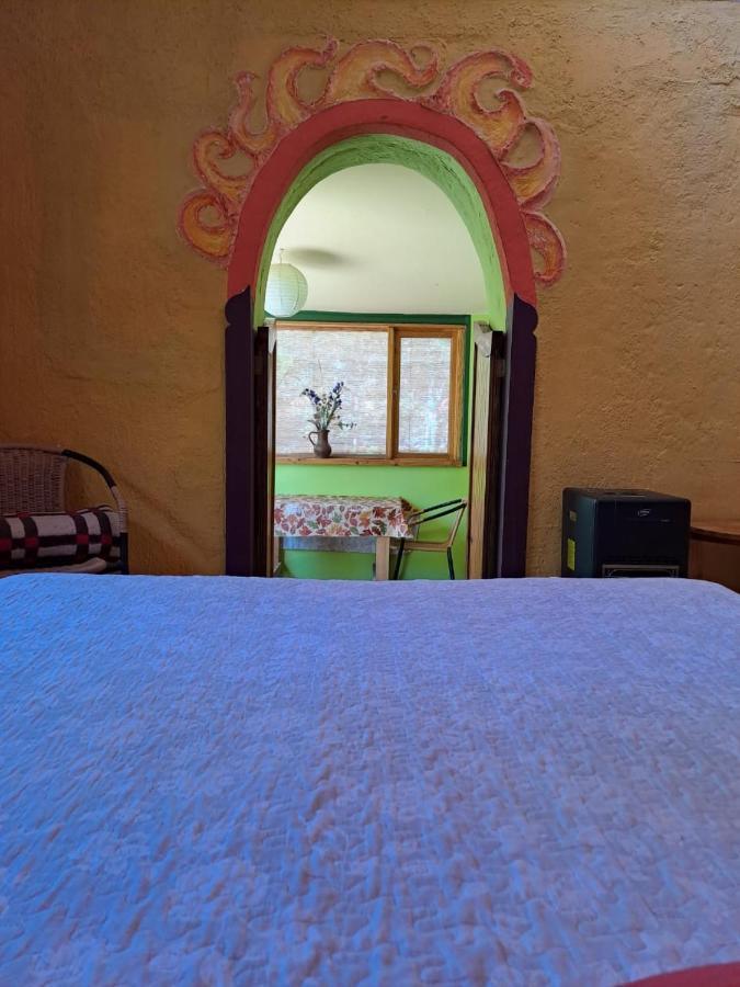 El Jardin Secreto-Pisco Elqui Aparthotel Екстериор снимка